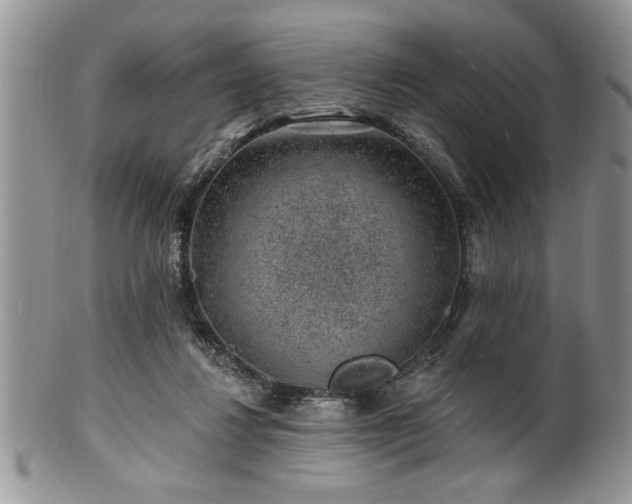 X0000100390260200806130958