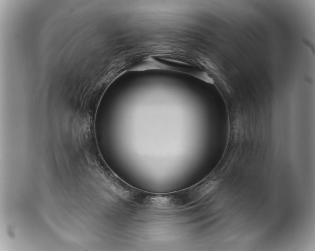 X0000100390265200806130958