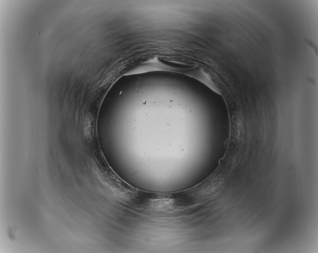 X0000100390266200806130958