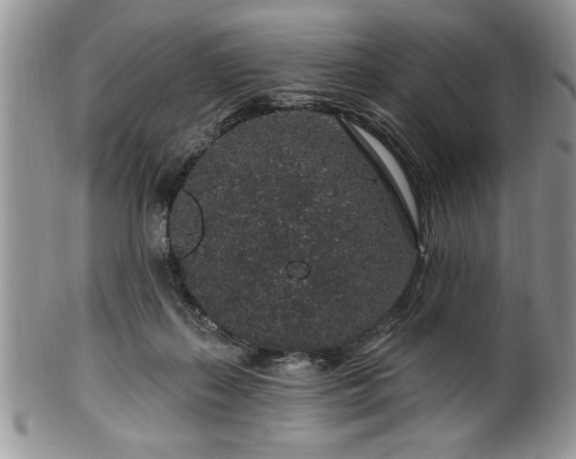 X0000100390267200806130958