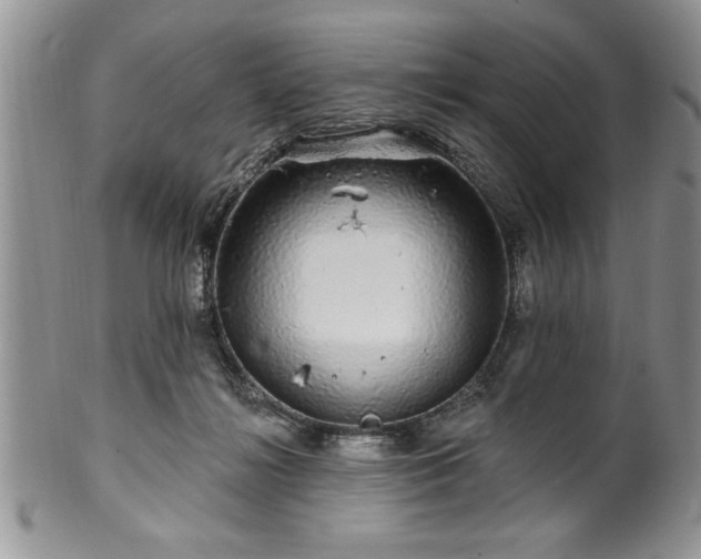 X0000100390268200806130958