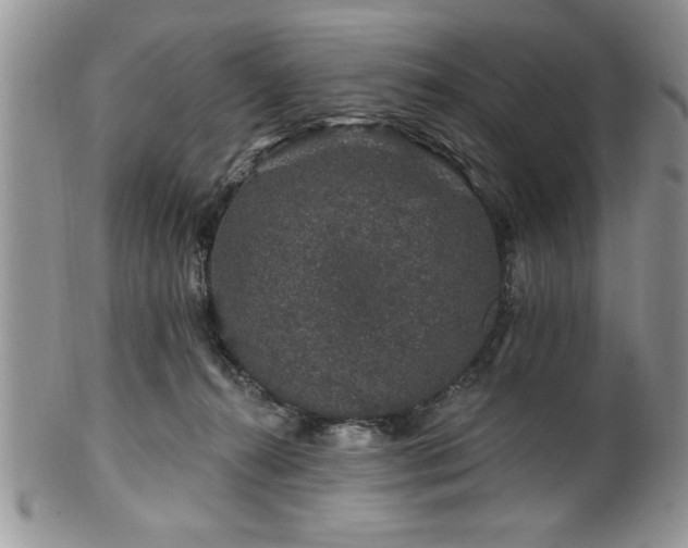 X0000100390272200806130958