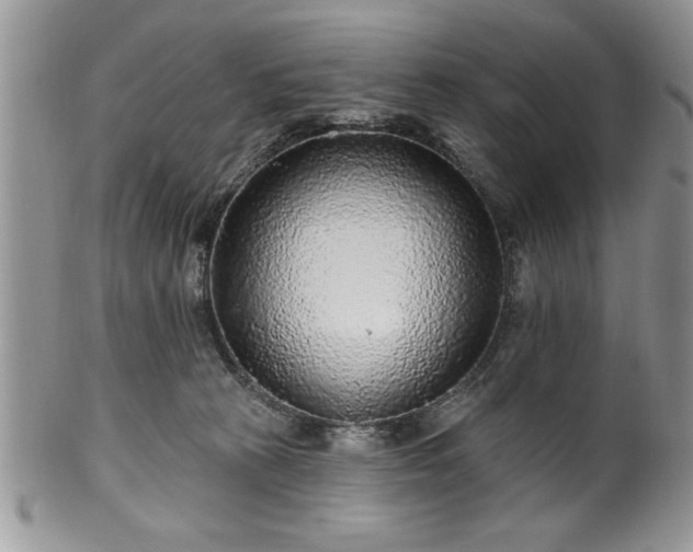 X0000100390273200806130958