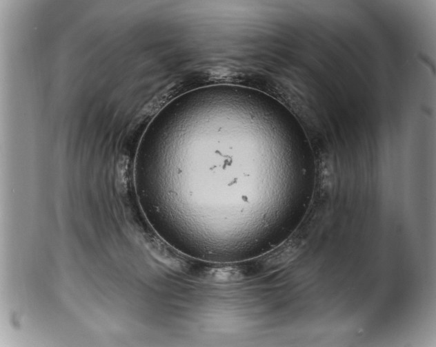 X0000100390275200806130958