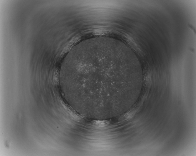 X0000100390277200806130958