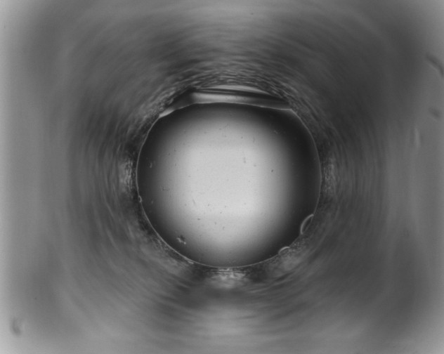 X0000100390278200806130958