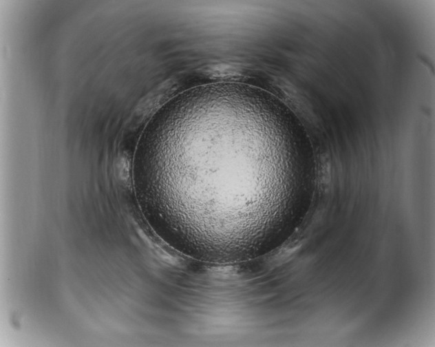 X0000100390281200806130958