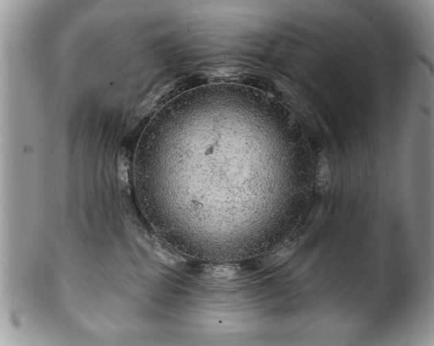 X0000100390282200806130959