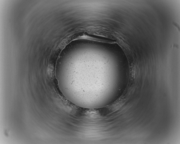 X0000100390283200806130959