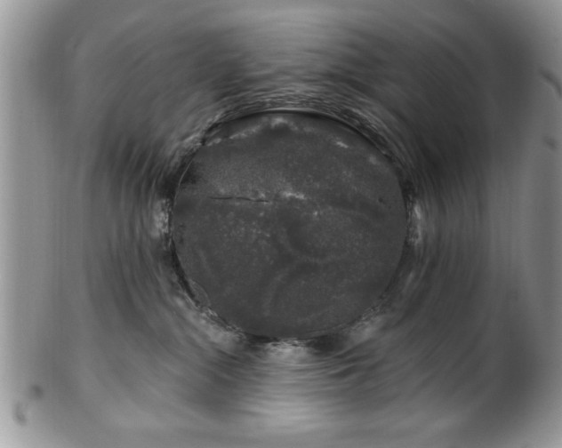 X0000100390284200806130959