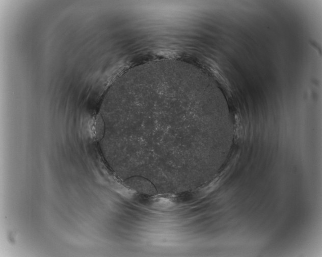 X0000100390285200806130959