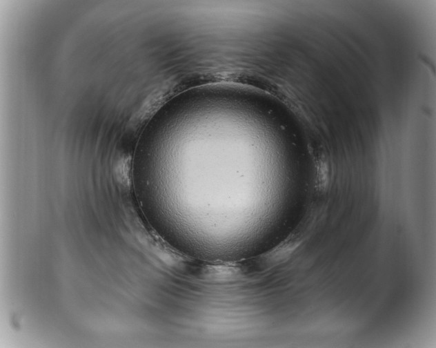 X0000100390286200806130959