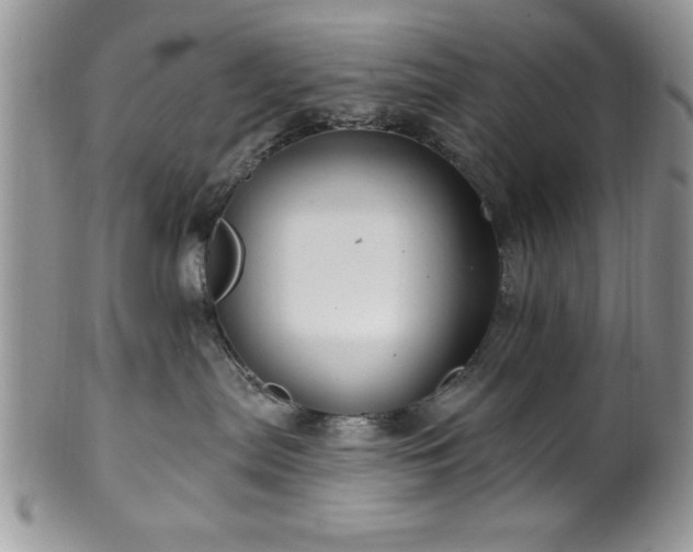 X0000100390287200806130959