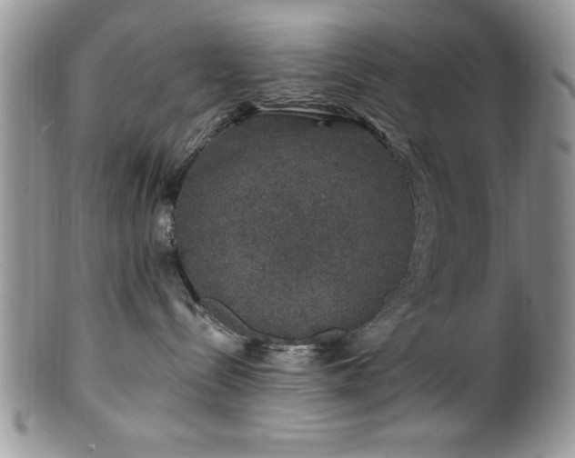 X0000100390288200806130959