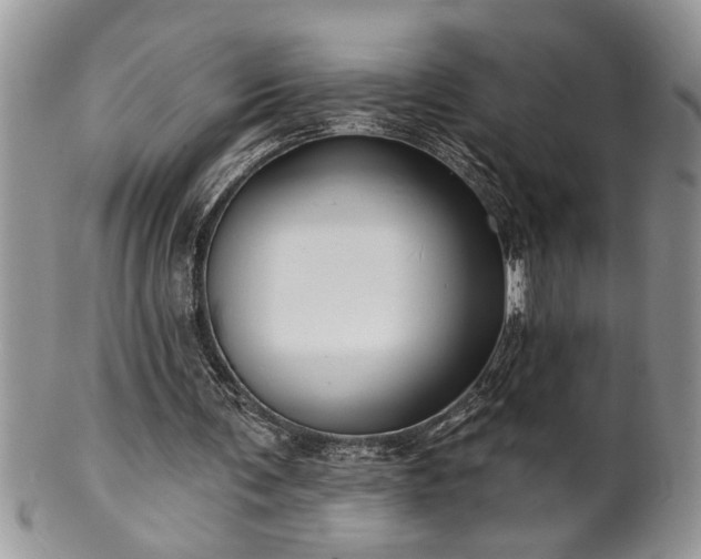 X0000100390291200806130958