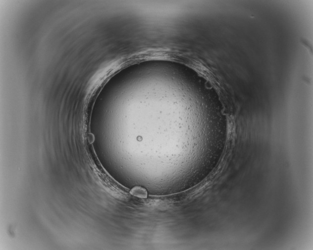 X0000100390293200806130958