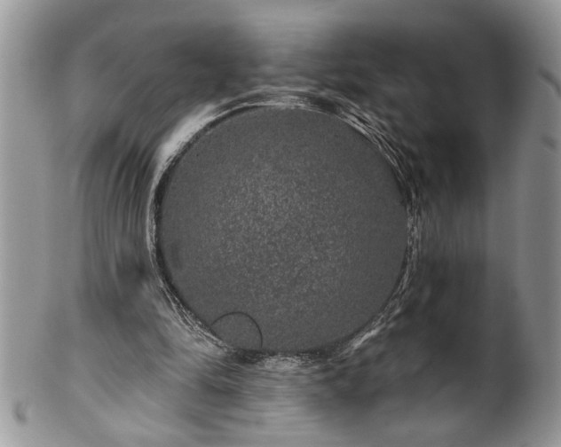 X0000100390294200806130958