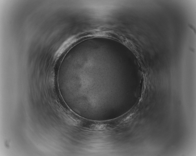 X0000100390295200806130958