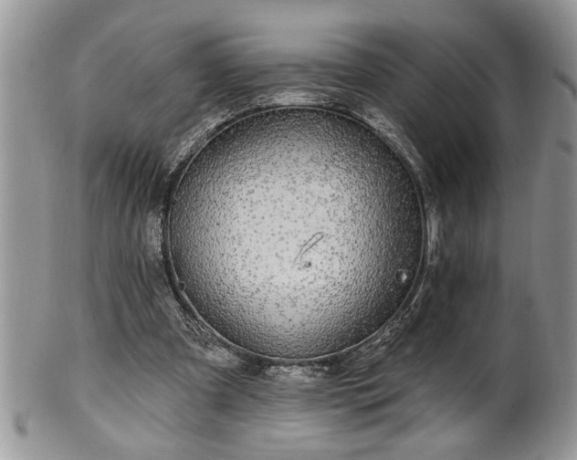 X0000100390297200806130958