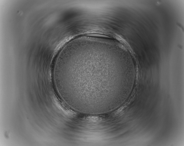 X0000100390298200806130958