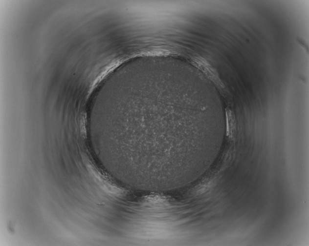 X0000100390300200806130958