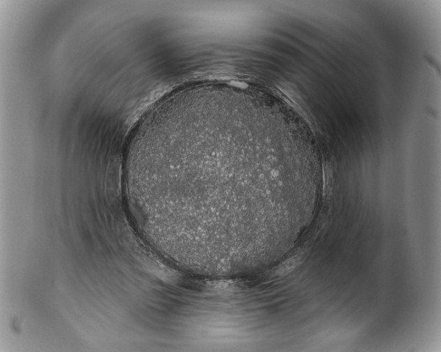 X0000100390301200806130958