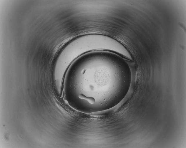 X0000100390302200806130958