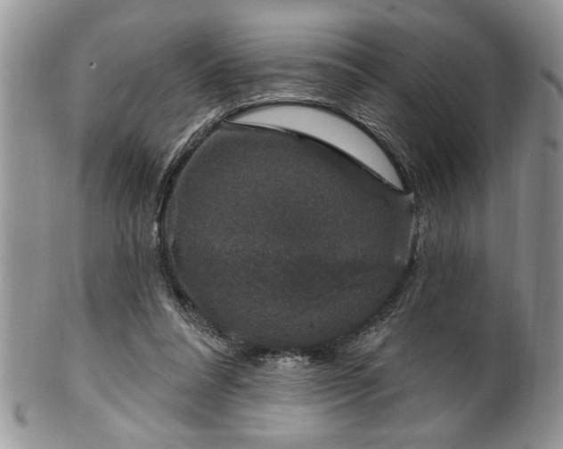 X0000100390304200806130958