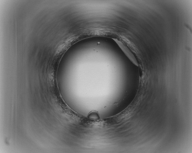 X0000100390306200806130958