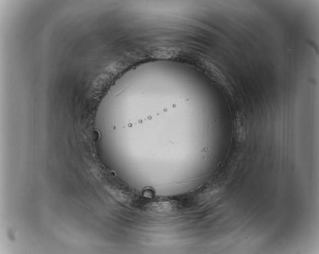 X0000100390307200806130958