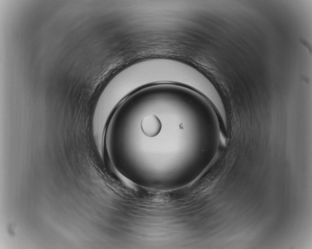 X0000100390308200806130958