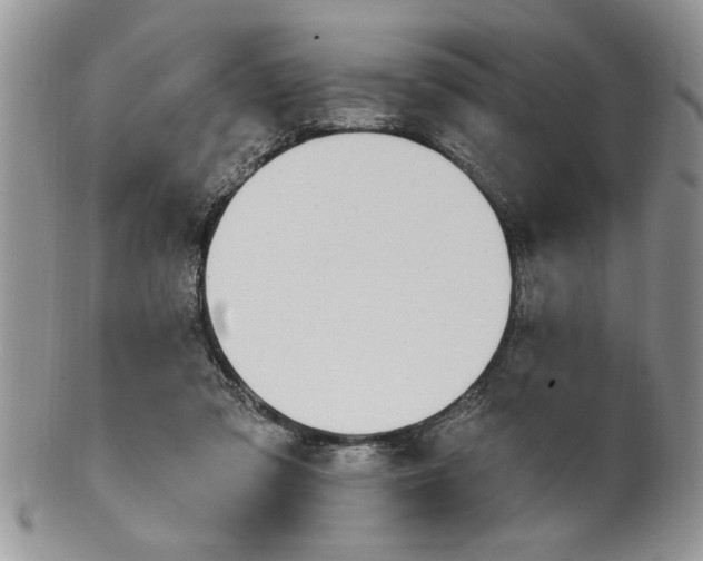 X0000100390309200806130958