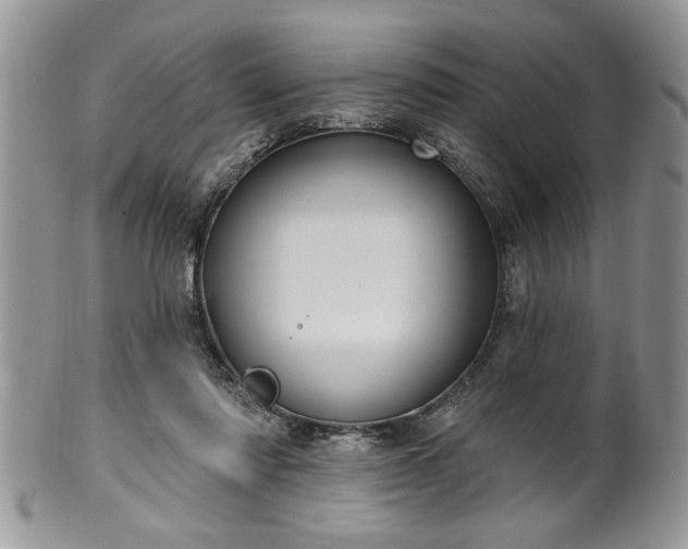 X0000100390310200806130958