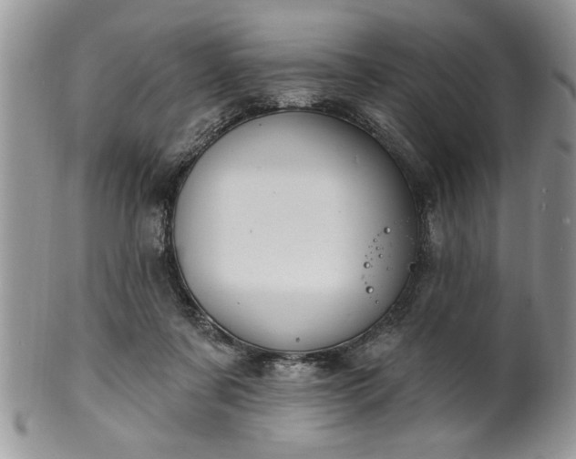 X0000100390311200806130958