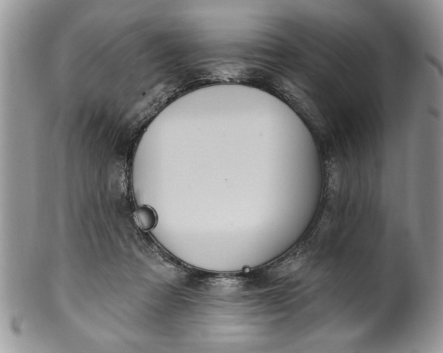 X0000100390313200806130958