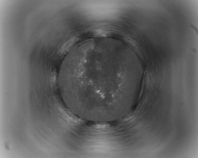 X0000100390314200806130958