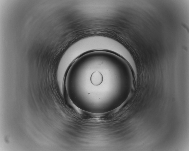 X0000100390316200806130958