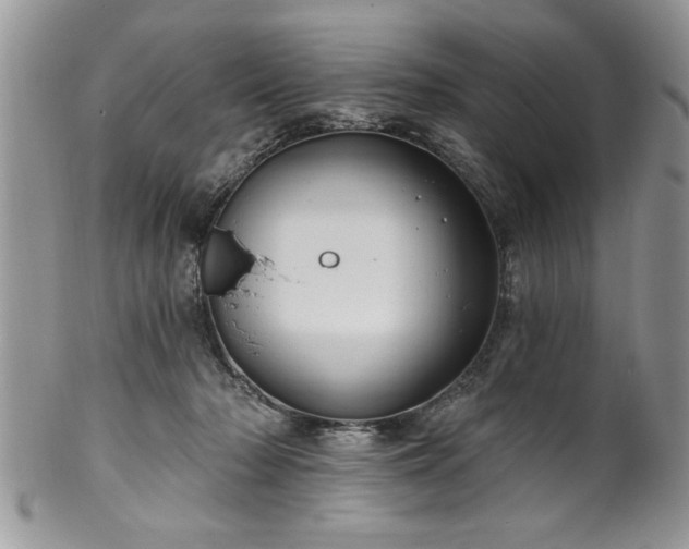 X0000100390318200806130958