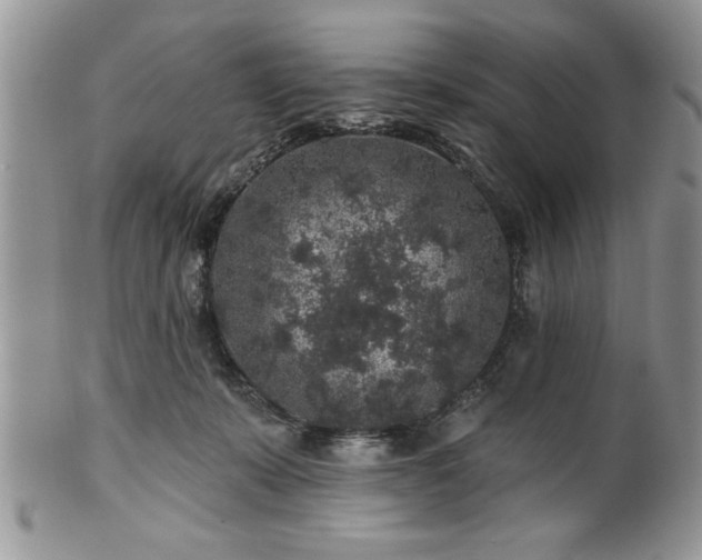 X0000100390319200806130958