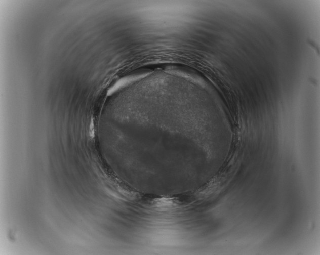 X0000100390320200806130958