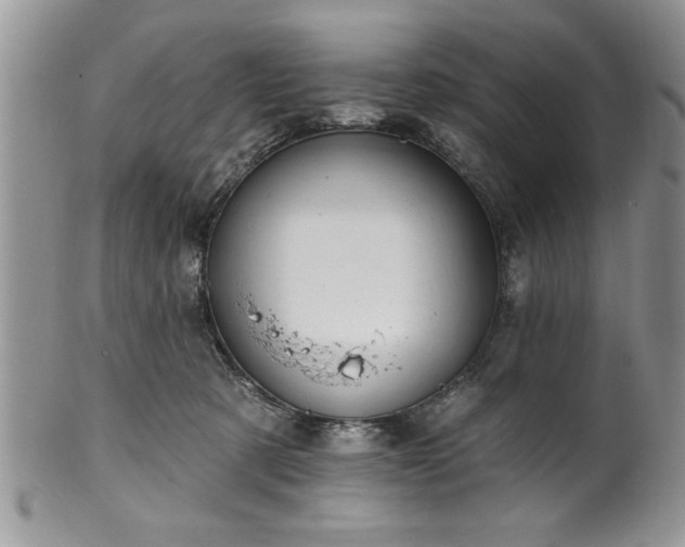 X0000100390321200806130957