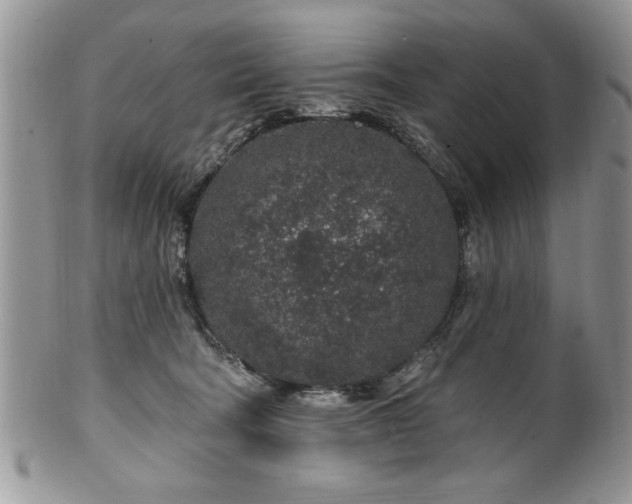 X0000100390322200806130957