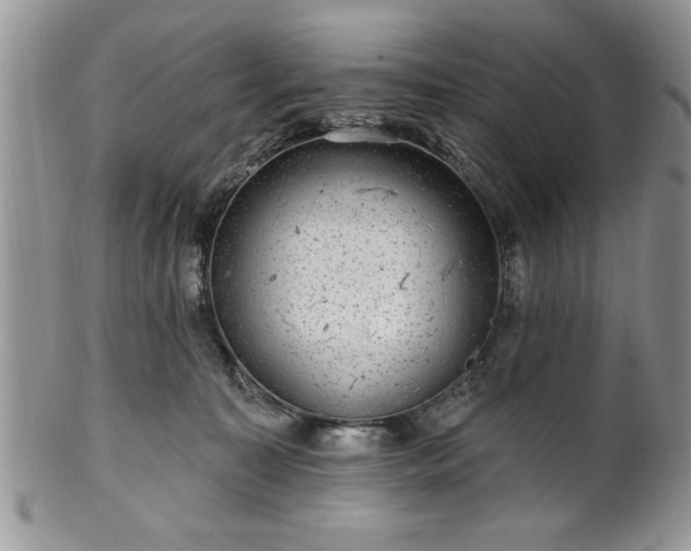 X0000100390323200806130957