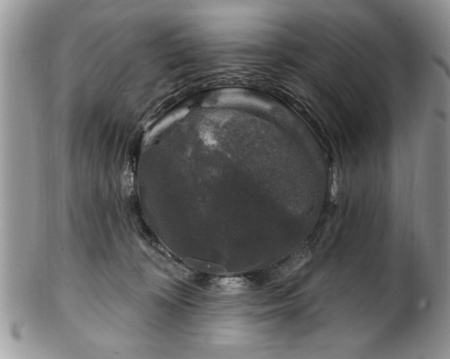 X0000100390324200806130957