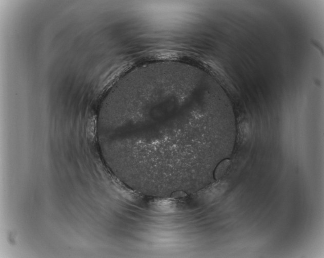 X0000100390325200806130957