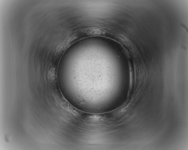 X0000100390326200806130957