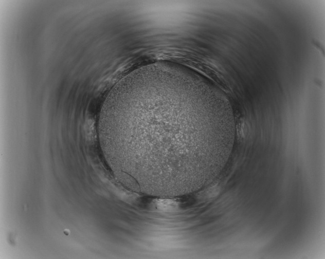 X0000100390327200806130957