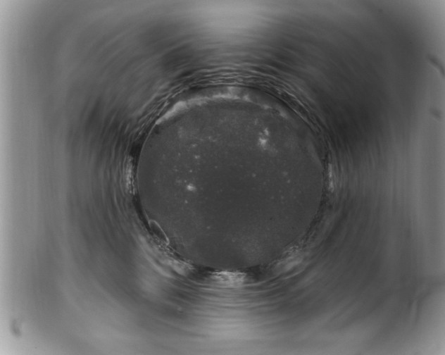 X0000100390328200806130957