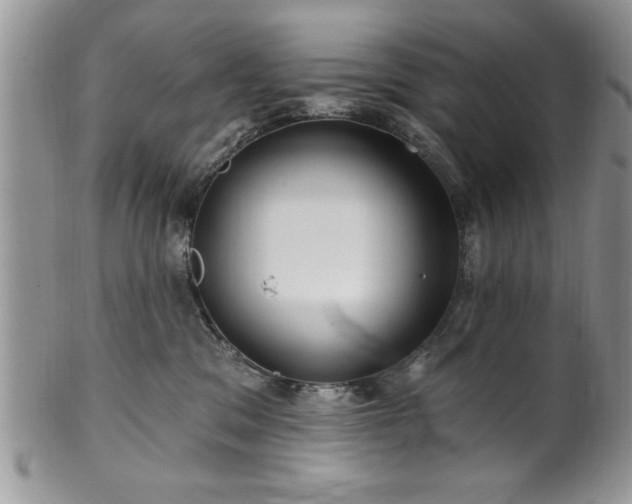 X0000100390329200806130957