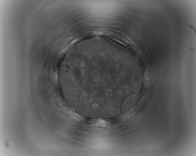 X0000100390330200806130957